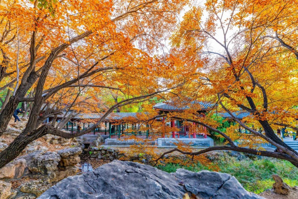 Di Hòa Viên Bắc Kinh