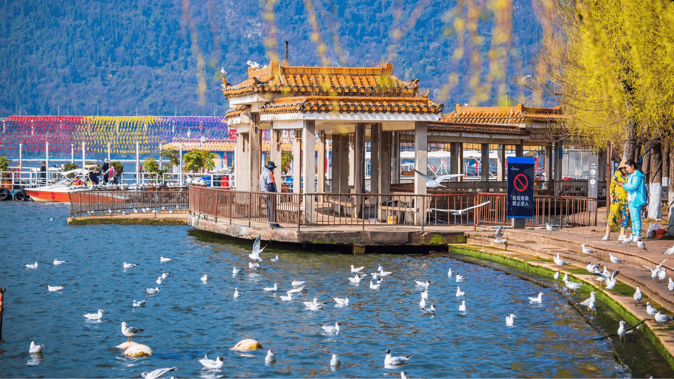 Tour Côn Minh Mono 4N4Đ | No Shopping – Yến Tiệc Cung Đình